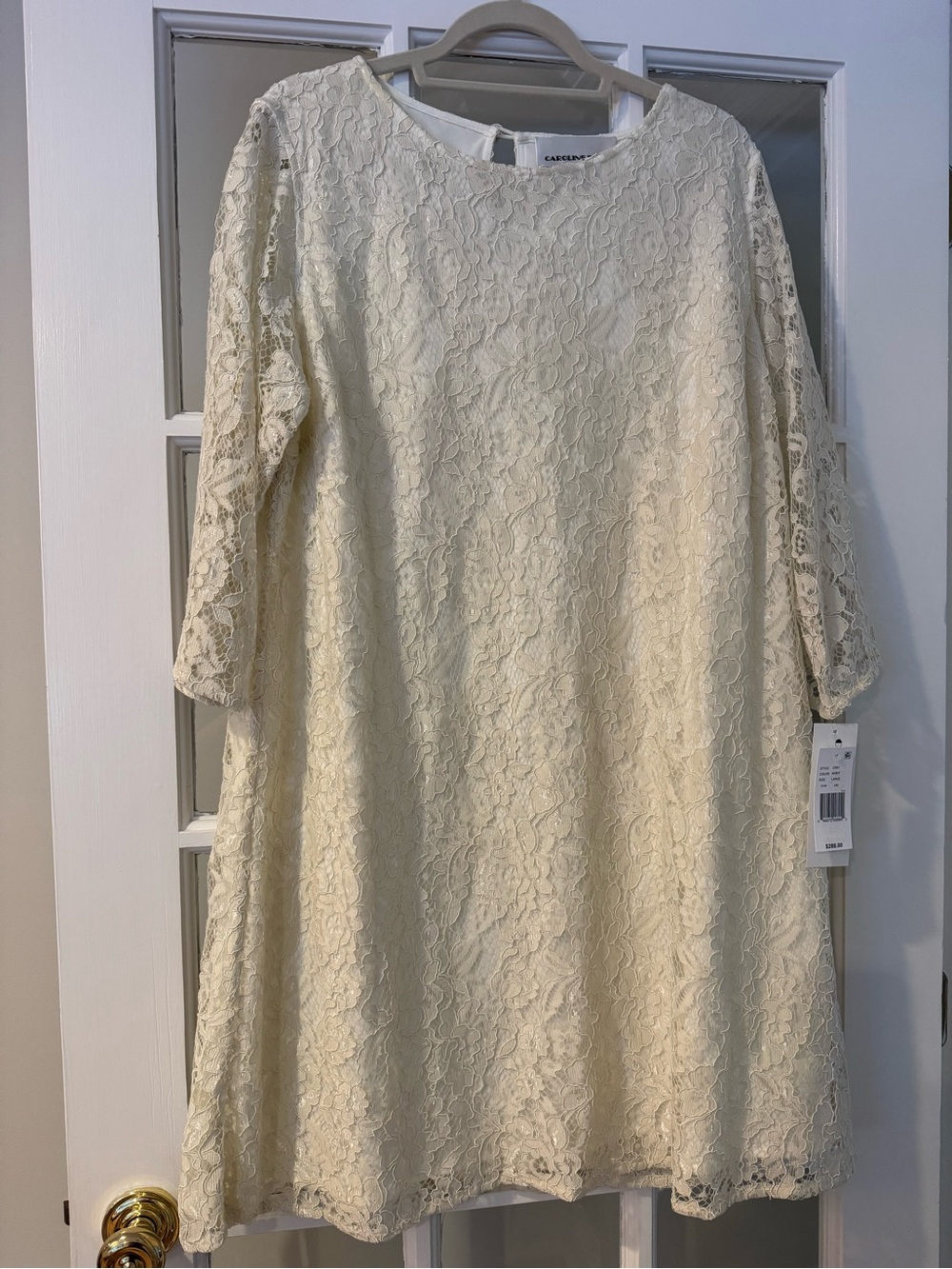 Caroline Rose Ivory lace dress
